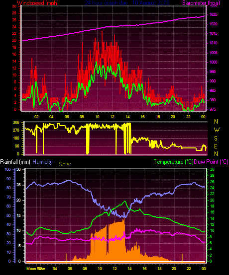 24 Hour Graph for Day 10