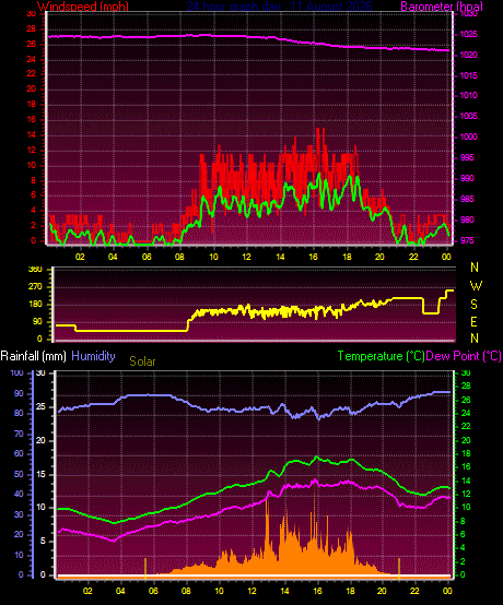 24 Hour Graph for Day 11