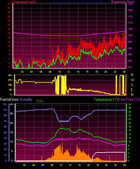 24 Hour Graph for Day 19